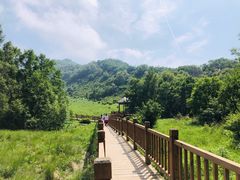 -白草畔自然风景区