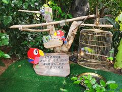 -温州乐园