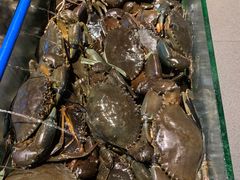 -Isla Sugbu Seafood City