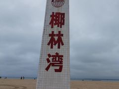 -东郊椰林