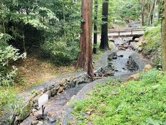 -东明山森林公园