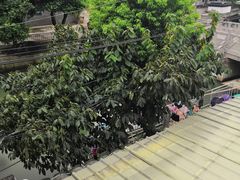-喜洋洋蟹庄(阳澄湖店)