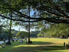 -深圳仙湖植物园