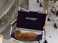 -HUGS coffee(东区店)