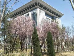 -河南财经政法大学(郑东校区)