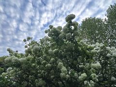 -堤角公园