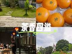 -湘力力小院·鱼汤泡饭(枫林路店)