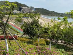 -东海半边山旅游度假区
