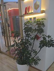 点击看大图 -JUVA欧华医美连锁