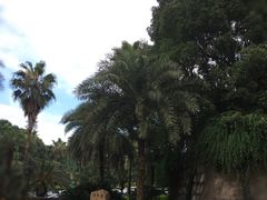 -圣爵菲斯大酒店(长沙世界之窗店)