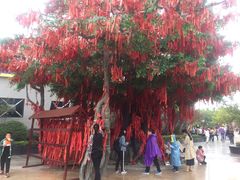 -济南方特东方神画