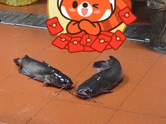 -安吉美渝石锅鱼(芜园西路店)