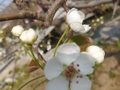 -南开大学(津南校区)