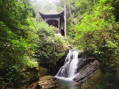 -江西阳明山国家森林公园