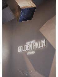 点击看大图 -金棕榈