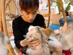 -Husky Go! 哈士奇体验馆·宠物咖啡厅狗咖