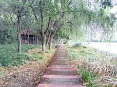 -高子水居