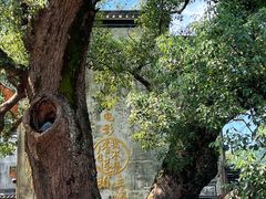 -上坦村
