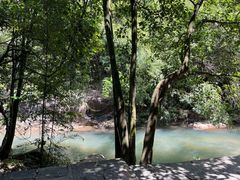 -广州白江湖森林公园