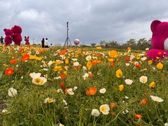 -歌斐颂巧克力小镇