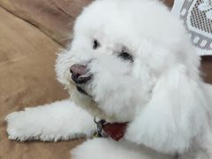 -宠福鑫康馨动物医院·骨科·眼科