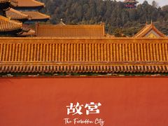 -故宫博物院(故宫)