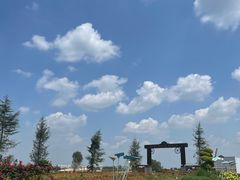 -空港花田景区