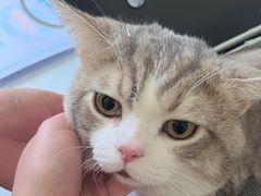 -美联众合动物医院·24h京西诊疗中心