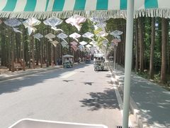 -日照海滨国家森林公园