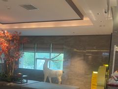 -三谷里·生态水疗空间(五一店)