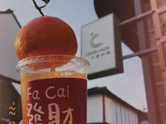 -COMPANION COFFEE小伴咖啡