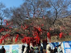 -句容茅山景区