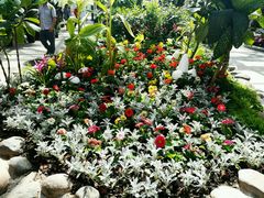 -北京植物园-展览温室