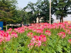 -辽宁大学(崇山校区)