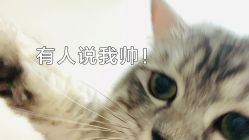 -芮澳普拉提工作室