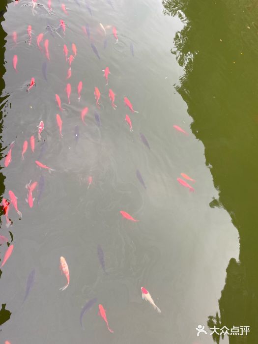 藏山旅游风景区图片