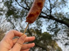 -杭州半山国家森林公园