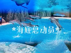 -珠海长隆海洋王国