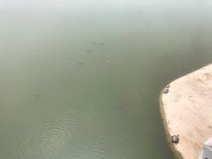 -建水文庙