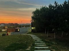 -莫子山公园
