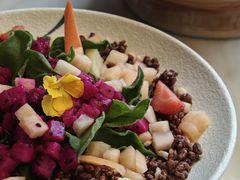 -唐猫庭院·千年陕菜(大唐不夜城店)