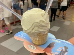 -野人先生现做冰淇淋(西安赛格店)