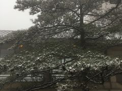 -黄山西海饭店-自助餐厅