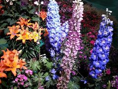 -东浩兰生上海世博展览馆