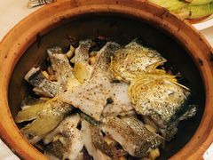 -人间采蜜(海信广场店)