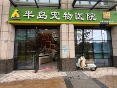 -半岛宠物医院24小时·内窥镜·牙科·碎石中心(府城大道店)
