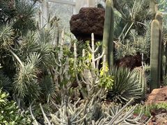-昆明植物园