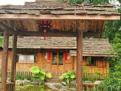 -南山植物园
