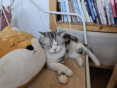 -小时光咖啡馆(开森度假森林店)
