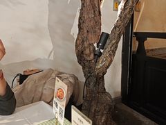 -桂满陇-南宋御街(正大广场店)